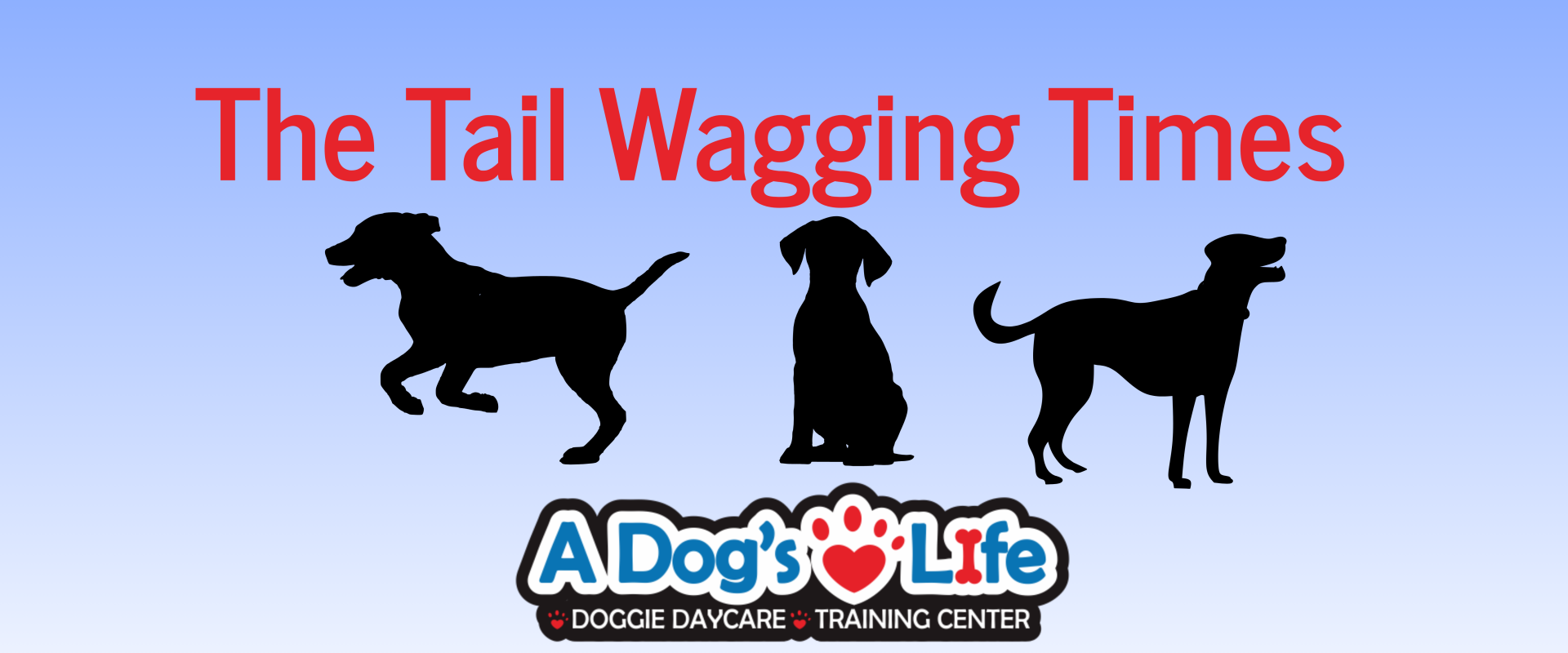 The Tail Wagging Times (1)