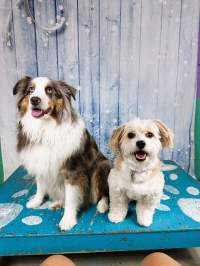 Tucker and Leia LaVista1